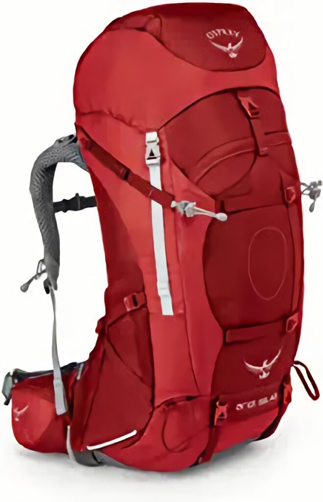 Osprey Ariel AG 65 Women's Backpacking Backpack (2020 Model)